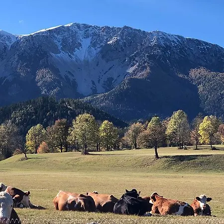 Апартаменты Sonnleiten