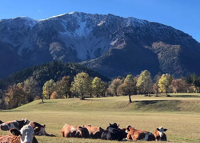 Apartamento Sonnleiten