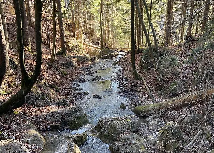 Apartment Sonnleiten *